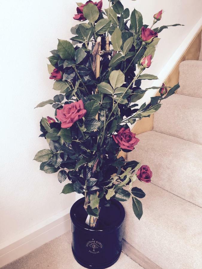 Red Rose Cottage Cockermouth Εξωτερικό φωτογραφία